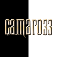 camaro33scatter